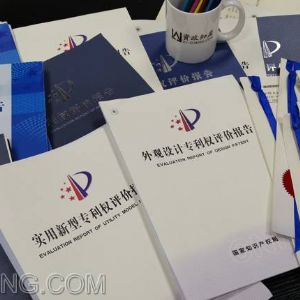 专利报告或鉴定意见为什么不能作为法院定案依据