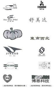 图形不同但汉字部分相似，属于近似商标